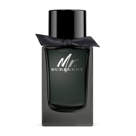 profumo mr burberry uomo equivalente|burberry fragrance for men.